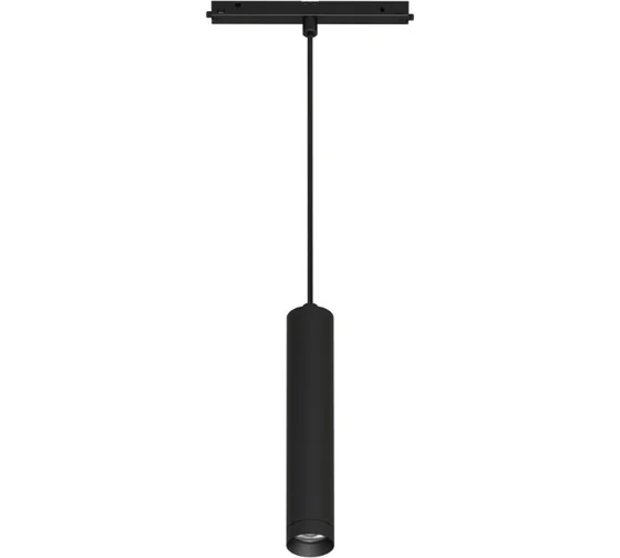 Светильник Arlight MAG-ORIENT-SPOT-HANG-R45-12W Day4000 (BK, 24 deg, 48V, DALI) купить с доставкой по РФ