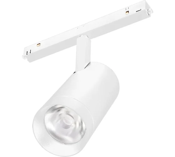 Светильник Arlight MAG-ORIENT-SPOT-R65-20W Day4000 (WH, 24 deg, 48V, DALI) купить с доставкой по РФ