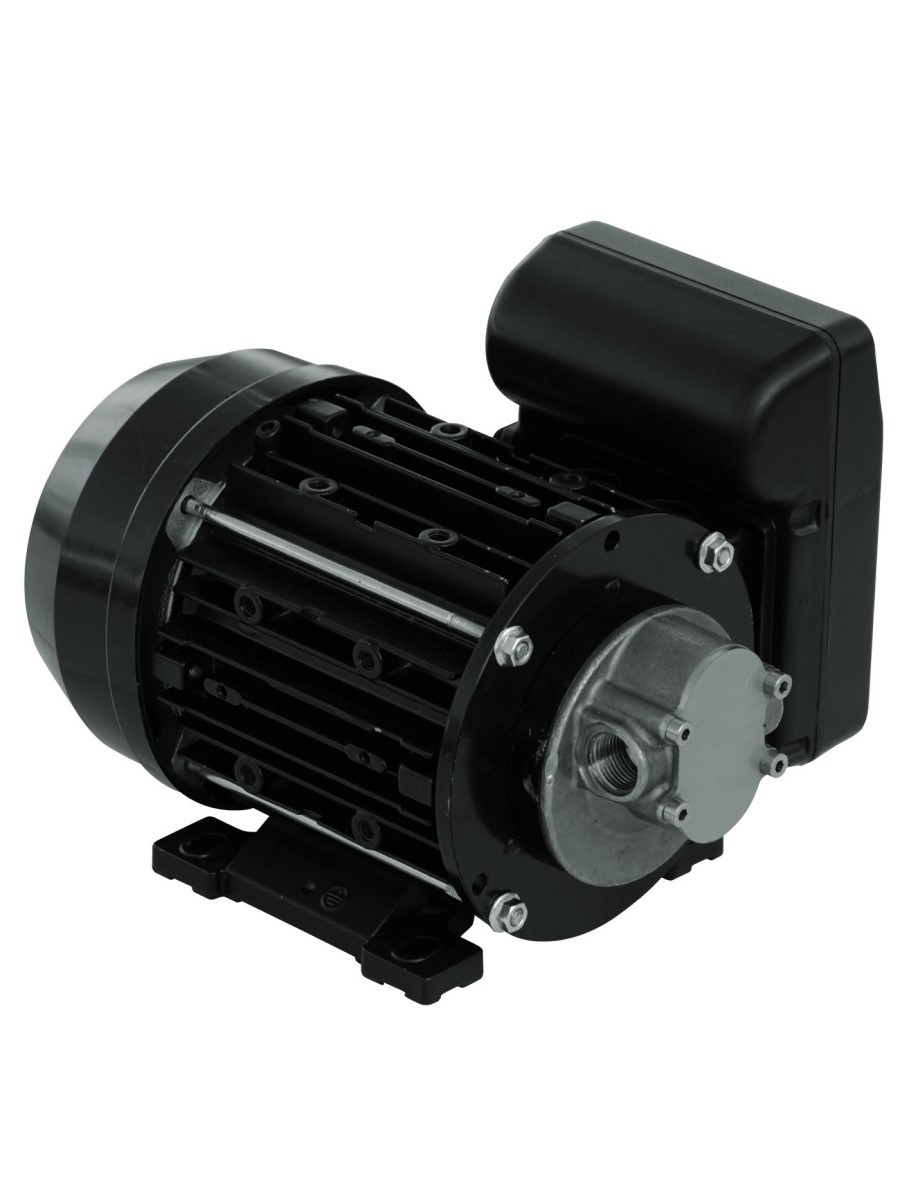 Насос для дизельного топлива Piusi Garda 5, NMT450006 купить с доставкой по РФ